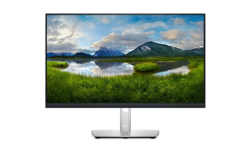 LCD 23.8" Dell P2422H "A-" | Repaspoint.cz